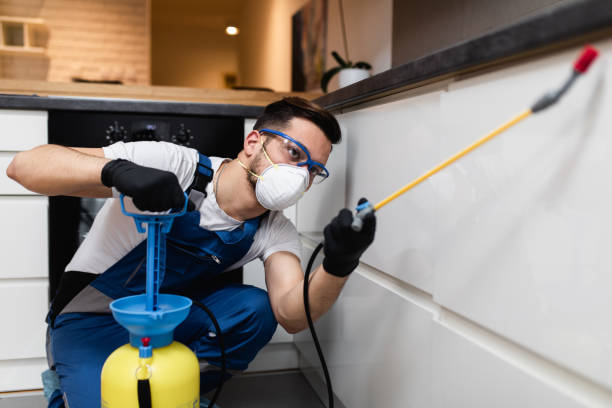 Best Emergency Pest Control  in Archdale, NC