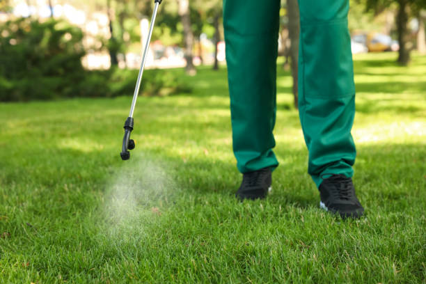 Best Ant Control Services  in Archdale, NC