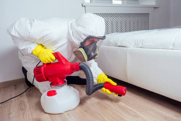 Best Termite Control Services  in Archdale, NC
