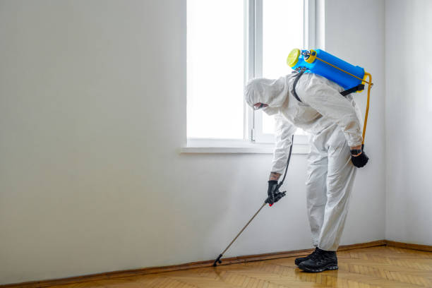 Best Best Pest Control Companies  in Archdale, NC