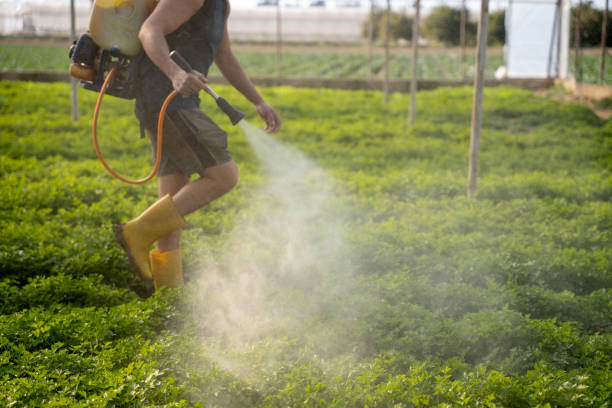 Best Local Pest Control Services  in Archdale, NC