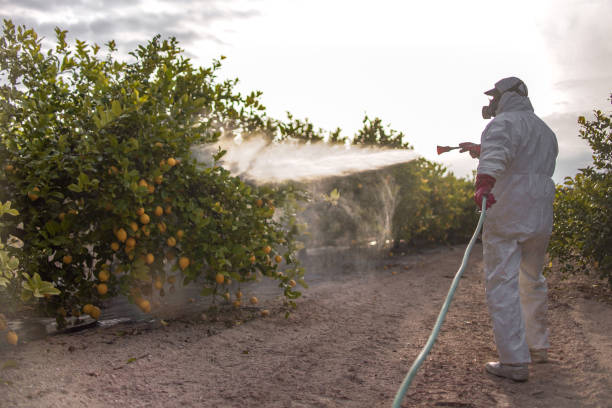 Trusted Archdale, NC Pest Control Experts
