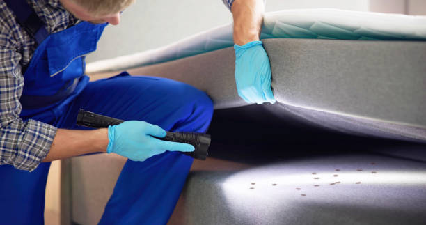 Best Pest Removal Services  in Archdale, NC