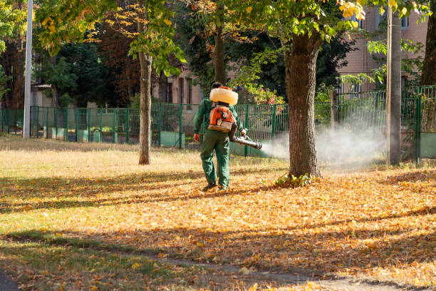 Best Pest Control Near Me  in Archdale, NC