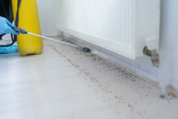 Best Residential Pest Control  in Archdale, NC