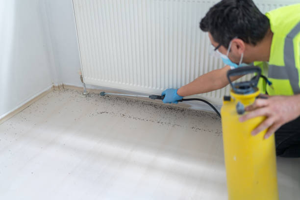 Best Pest Control Cost  in Archdale, NC